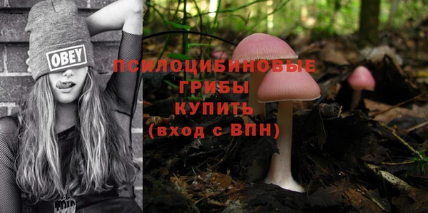 mdpv Арсеньев